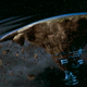 Illustration for article titled 33 Secrets You Probably Never Knew About the Making of Galaxy Quest